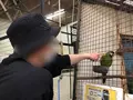 草津熱帯圏の写真_423746