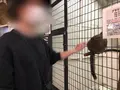 草津熱帯圏の写真_423747