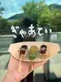 ぎゃあていの写真_423811