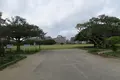 新都心公園の写真_423897