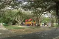 新都心公園の写真_423898