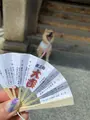智恩寺の写真_423982
