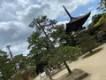 智恩寺の写真_423983