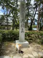 天橋立の写真_423990