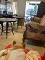 カフェ・ドゥ・パンの写真_423996