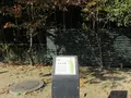 城陽市総合運動公園の写真_424734