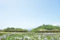 藤山健康文化公園の写真_424740