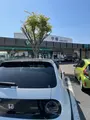 平塚PA (下り)の写真_424812