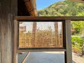 清水寺の写真_424839