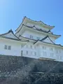 小田原城の写真_424925