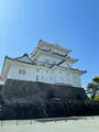 小田原城の写真_424926