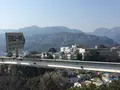 小田原城の写真_424929