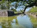 小田原城の写真_424934