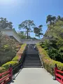 小田原城の写真_424935