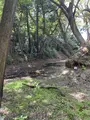 報徳二宮神社の写真_424944