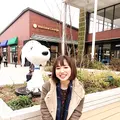 南町田グランベリーパークの写真_425257