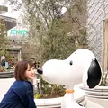 南町田グランベリーパークの写真_425258