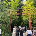 來宮神社の写真_425310