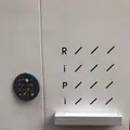 RiPiの写真_425587