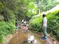 ファミリーキャンプ場いもんころの写真_425691