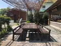 鏡ケ池の写真_425735
