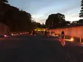 元離宮 二条城の写真_425785