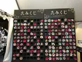 元離宮 二条城の写真_425794