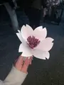元離宮 二条城の写真_425795