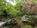 宝厳院の写真_425844