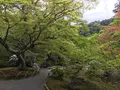 宝厳院の写真_425846