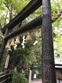 野宮神社の写真_425847
