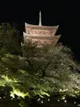 東寺（教王護国寺）の写真_425860