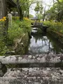 松尾大社の写真_425870