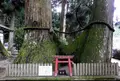 室生龍穴神社の写真_426026