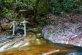 龍鎮神社の写真_426038