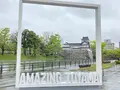 富山城址公園の写真_426041