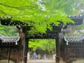 法輪寺の写真_426176