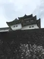 掛川城の写真_426190