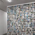 KOTARO NUKAGAの写真_426235
