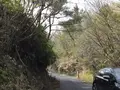 鬼城山の写真_426508