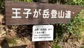 王子が岳の写真_426536