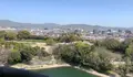 岡山城の写真_426555
