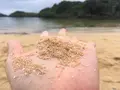 星砂の浜の写真_426585