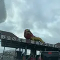 那須サファリパークの写真_426616