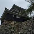 浜松城の写真_426681