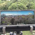 浜松城の写真_426683