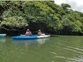 カヤック＆シュノーケル クロスリバーの写真_426771