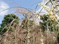 城南宮の写真_426902