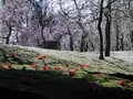 城南宮の写真_426903