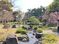 城南宮の写真_426908